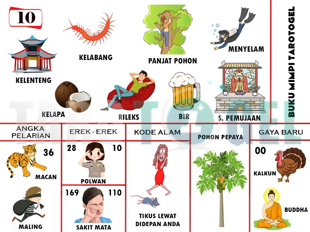 buku mimpi erek erek togel 10