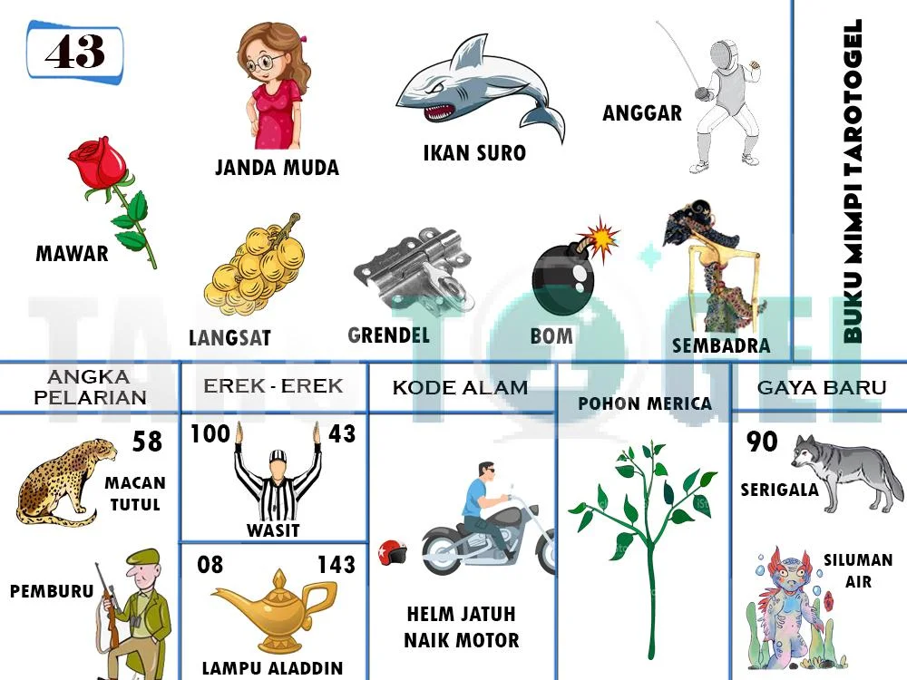 buku mimpi erek erek togel 43